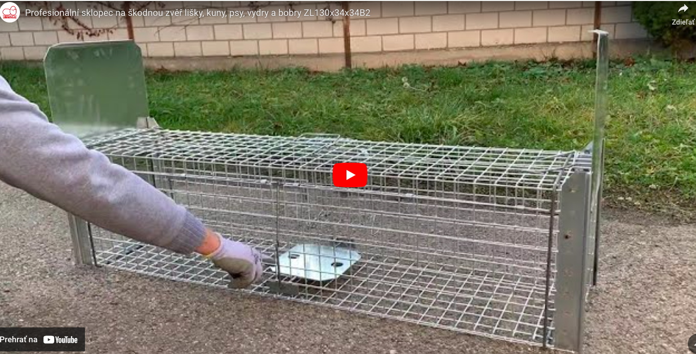 Snímka obrazovky 2025-07-27 o 19.47.01